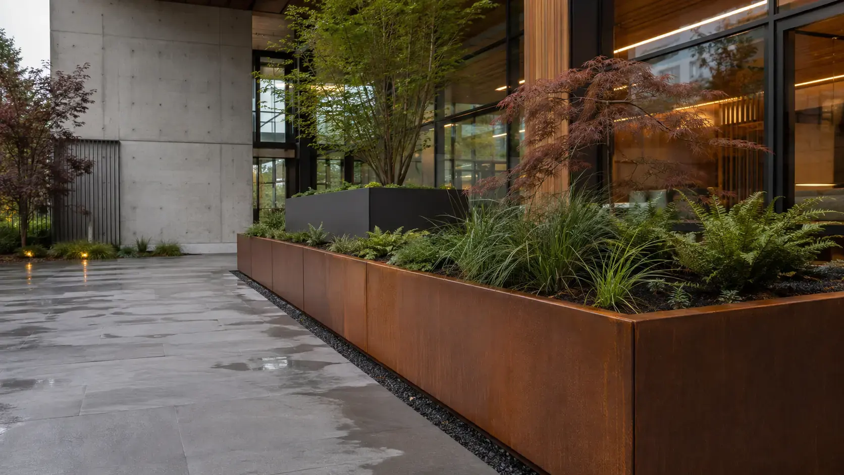 metal-planters-vancouver Corten steel and blackened steel planters with grasses and a Japanese maple along a covered walkway beside a modern building